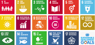 Lokale uitdagingen bij SDG 12 | Column One World
